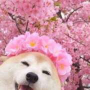 ヒメ日記 2026/03/11 02:23 投稿 真琴 デリヘル東京