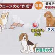 ヒメ日記 2026/03/12 02:45 投稿 真琴 デリヘル東京