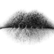 ヒメ日記 2026/03/12 05:45 投稿 真琴 デリヘル東京