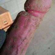 ヒメ日記 2026/03/12 09:45 投稿 真琴 デリヘル東京