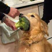 ヒメ日記 2026/03/13 03:45 投稿 真琴 デリヘル東京