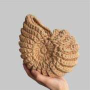 ヒメ日記 2026/03/13 06:15 投稿 真琴 デリヘル東京