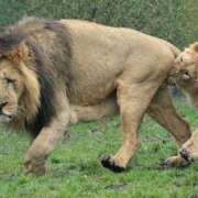 ヒメ日記 2026/03/14 05:45 投稿 真琴 デリヘル東京