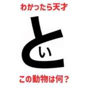 ヒメ日記 2026/03/14 06:15 投稿 真琴 デリヘル東京