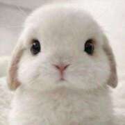 ヒメ日記 2026/03/17 08:45 投稿 真琴 デリヘル東京