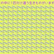 ヒメ日記 2026/03/22 21:45 投稿 真琴 デリヘル東京