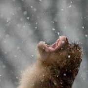 ヒメ日記 2026/03/25 08:15 投稿 真琴 デリヘル東京