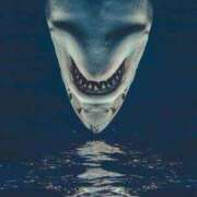 ヒメ日記 2026/03/25 08:45 投稿 真琴 デリヘル東京