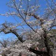 ヒメ日記 2026/03/26 01:15 投稿 真琴 デリヘル東京