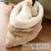 ヒメ日記 2026/03/26 05:15 投稿 真琴 デリヘル東京