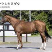 ヒメ日記 2026/03/28 03:15 投稿 真琴 デリヘル東京