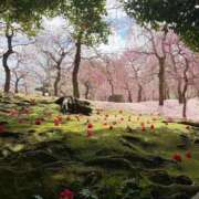 ヒメ日記 2026/03/29 22:45 投稿 真琴 デリヘル東京