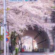 ヒメ日記 2026/03/30 07:45 投稿 真琴 デリヘル東京