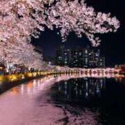 ヒメ日記 2026/04/01 22:46 投稿 真琴 デリヘル東京