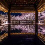 ヒメ日記 2026/04/02 00:30 投稿 真琴 デリヘル東京