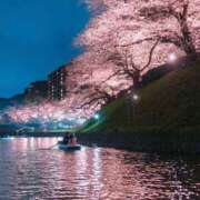 ヒメ日記 2026/04/03 21:31 投稿 真琴 デリヘル東京