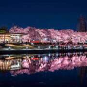 ヒメ日記 2026/04/04 21:37 投稿 真琴 デリヘル東京