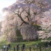 ヒメ日記 2026/04/05 09:45 投稿 真琴 デリヘル東京