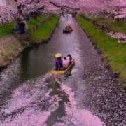 ヒメ日記 2026/04/05 20:45 投稿 真琴 デリヘル東京