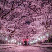 ヒメ日記 2026/04/06 21:16 投稿 真琴 デリヘル東京