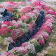 ヒメ日記 2026/04/07 11:45 投稿 真琴 デリヘル東京