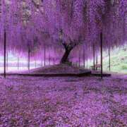 ヒメ日記 2026/04/08 21:45 投稿 真琴 デリヘル東京