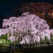 ヒメ日記 2026/04/09 00:01 投稿 真琴 デリヘル東京