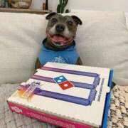 ヒメ日記 2026/04/09 06:15 投稿 真琴 デリヘル東京