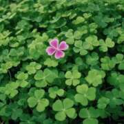 ヒメ日記 2026/04/09 08:45 投稿 真琴 デリヘル東京