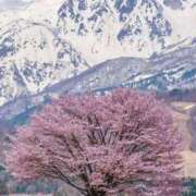 ヒメ日記 2026/04/10 00:30 投稿 真琴 デリヘル東京