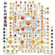ヒメ日記 2026/04/10 01:45 投稿 真琴 デリヘル東京