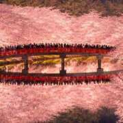 ヒメ日記 2026/04/10 21:15 投稿 真琴 デリヘル東京