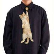 ヒメ日記 2026/04/12 01:15 投稿 真琴 デリヘル東京