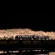 ヒメ日記 2026/04/12 02:15 投稿 真琴 デリヘル東京