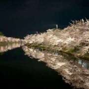 ヒメ日記 2026/04/16 03:30 投稿 真琴 デリヘル東京