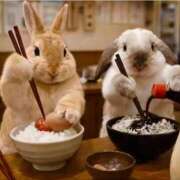 ヒメ日記 2026/04/17 04:15 投稿 真琴 デリヘル東京