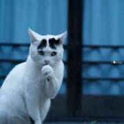 ヒメ日記 2026/04/21 00:45 投稿 真琴 デリヘル東京