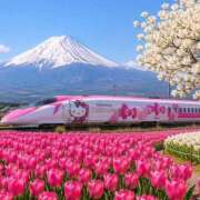 ヒメ日記 2026/04/25 06:45 投稿 真琴 デリヘル東京