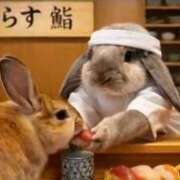 ヒメ日記 2026/05/02 04:15 投稿 真琴 デリヘル東京