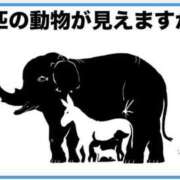 ヒメ日記 2026/05/08 05:15 投稿 真琴 デリヘル東京
