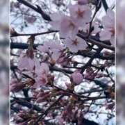 ヒメ日記 2026/03/23 15:42 投稿 あきな 梅田アバンチュール