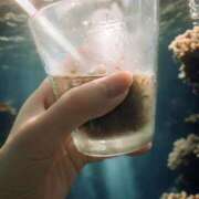 ヒメ日記 2025/06/16 10:13 投稿 みちこ 池袋おかあさん