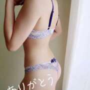 ヒメ日記 2024/12/17 19:30 投稿 うの ギン妻パラダイス 和歌山店