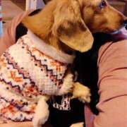 ヒメ日記 2024/12/29 19:45 投稿 うの ギン妻パラダイス 和歌山店