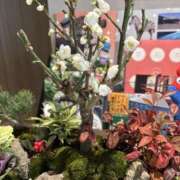 ヒメ日記 2025/01/05 12:57 投稿 うの ギン妻パラダイス 和歌山店