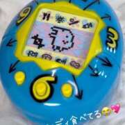 ヒメ日記 2025/02/20 10:01 投稿 うの ギン妻パラダイス 和歌山店