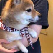 ヒメ日記 2025/02/23 14:10 投稿 うの ギン妻パラダイス 和歌山店