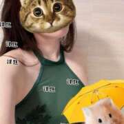 ヒメ日記 2025/03/10 17:51 投稿 うの ギン妻パラダイス 和歌山店