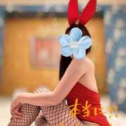 ヒメ日記 2025/04/10 11:10 投稿 うの ギン妻パラダイス 和歌山店