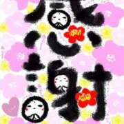 ヒメ日記 2025/04/14 11:19 投稿 うの ギン妻パラダイス 和歌山店